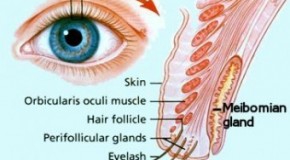 What the “Sleep” In Your Eyes Is