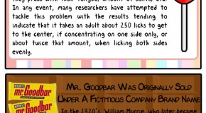 10 Interesting Junk Food Facts