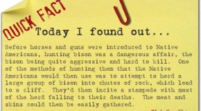 Hunting Bison Without Guns or Horses