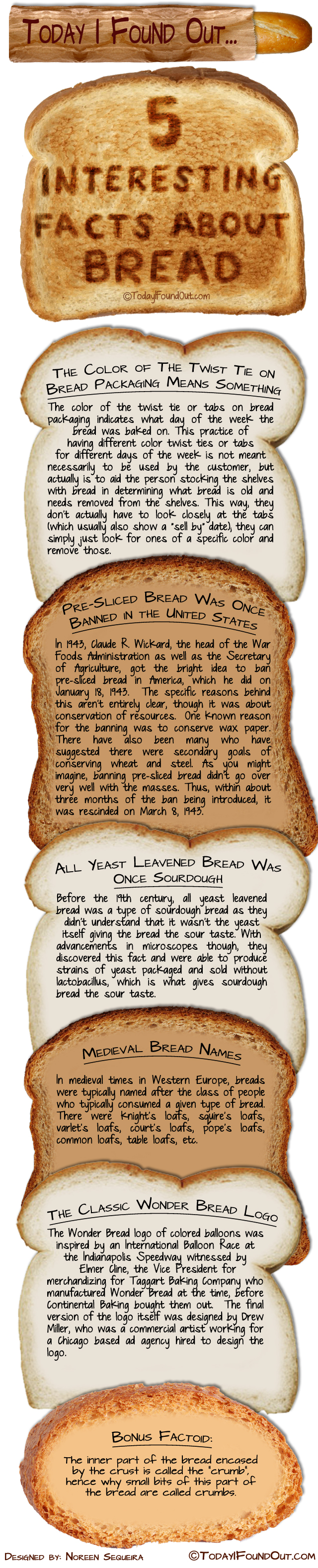 Bread Facts Infographic