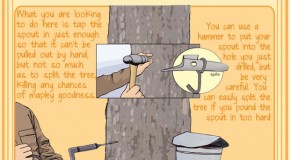 How Maple Syrup Is Made