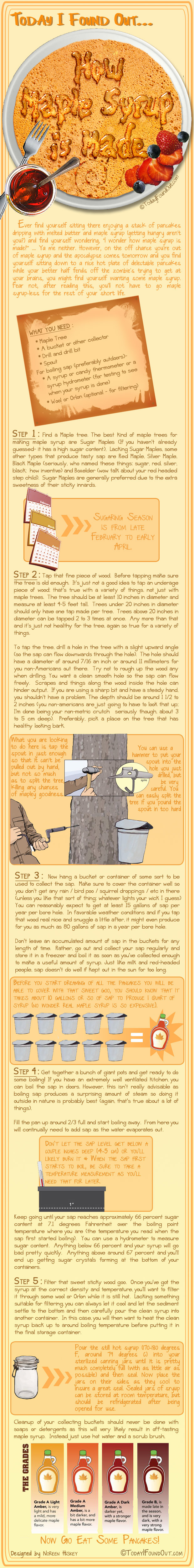 How Maple Syrup Is Made Infographic