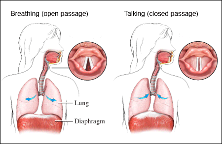  Voice on Why Breathing Helium Changes The Sound Of Your Voice