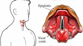 Why Voices Squeak During Puberty