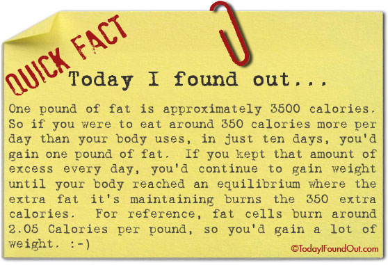 How many calories make a pound?