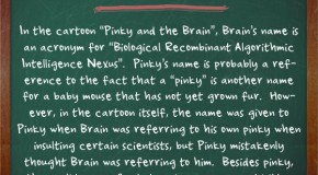 In Pinky and the Brain, Brain’s Name is an Acronym for “Biological Recombinant Algorithmic Intelligence Nexus”