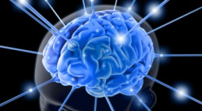 Alcohol Does Not Kill Brain Cells