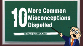 10 More Common Misconceptions Dispelled