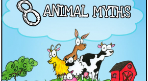 8 Animal Myths Dispelled