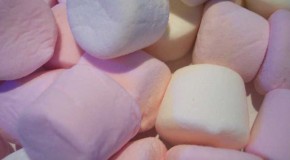 Marshmallows Were Originally Made from the Sap of the Marshmallow Plant