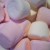 Marshmallows Were Originally Made from the Sap of the Marshmallow Plant