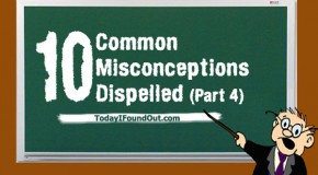 10 Common Misconceptions Dispelled (Part4)