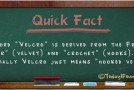 Where the Word “Velcro” Came From