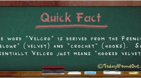 Where the Word “Velcro” Came From