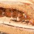 Certain Ants are Used as Living Food Storage Vessels