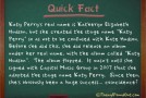 Katy Perry’s Real Name is Katheryn Hudson