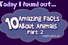 10 Amazing Animal Facts: Part 2