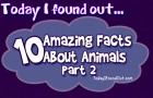 10 Amazing Animal Facts: Part 2