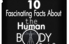 10 Fascinating Human Body Facts: Part-3