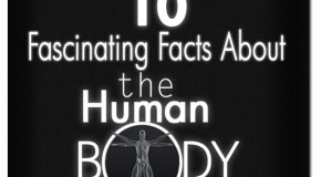 10 Fascinating Human Body Facts: Part-3