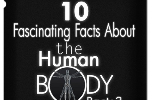 #htmlcaption_10928 10 Fascinating Human Body Facts: Part-3