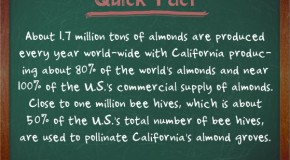 California Produces About 80% of the Almonds in the World