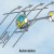 Helicopters Won’t Just Drop Like a Rock if the Engine Dies, They are Actually Designed to Be Able to Land Safely This Way
