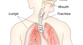 What Causes Hiccups