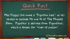 Miss Piggy’s Full Name is “Pigathia Lee”
