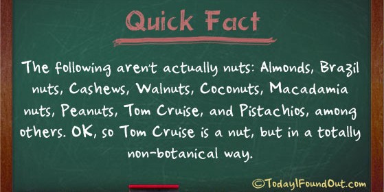 Nut Facts