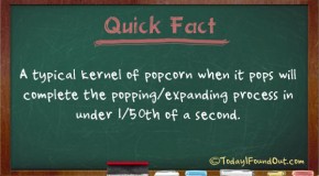 Popping Popcorn Completes its Expansion in About 1/50th of a Second
