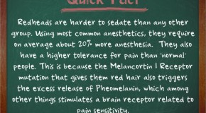 Redheads are Harder to Sedate Than Any Other Group