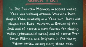 The Actor Who Played the Ewok Wicket in Return of the Jedi also Played Yoda in The Phantom Menace