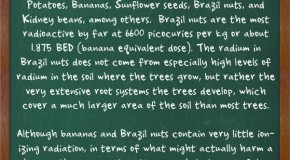Bananas, Potatoes, Sunflower Seeds, Brazil Nuts, and Kidney Beans are All Naturally Radioactive