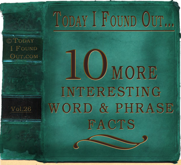 Today I Found Out s 50 Infographics today-i-found-out-s-50-infographics