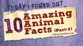 10 Amazing Animal Facts (Part-3)
