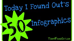 Today I Found Out’s 50 Infographics