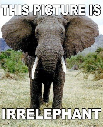 irrelephant-340x419.jpg