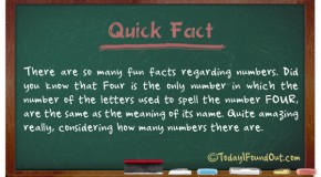 The Number Four