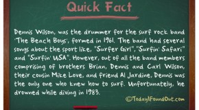 Only One Member Of The Surf-Rock Band ‘The Beach Boys’ Knew How To Surf