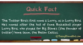 The Iconic Blue Twitter Bird Actually Has A Name