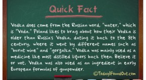 Where The Word Vodka Came From