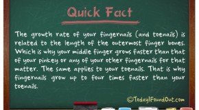 Why Fingernails Grow Up To Four Times Faster Than Your Toenails.