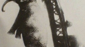 There Was Once An Elephant Condemned to Execution by Hanging