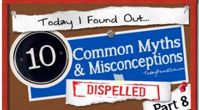 10 Common Myths & Misconceptions Part 8