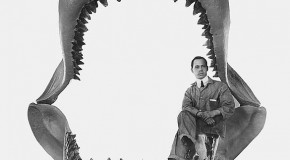 The Mammoth Megalodon, A Shark About 30 Times the Size of a Great White