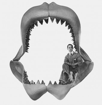 megalodon