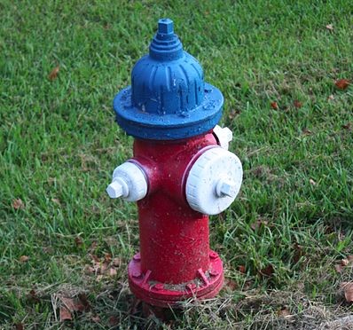 Fire Hydrant Colors Actually Mean Something