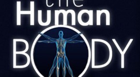 15 Bizarre Human Body Related Facts