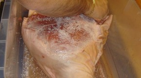 Why Salt Preserves Meat